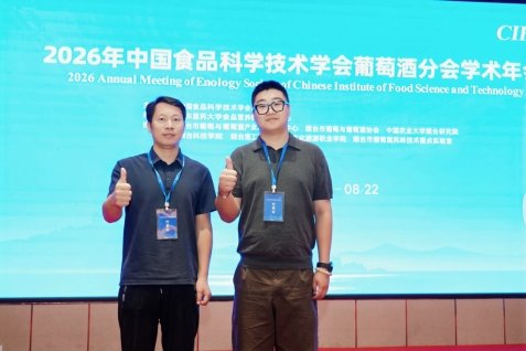 为扎实对接开运体育官方入口2027年